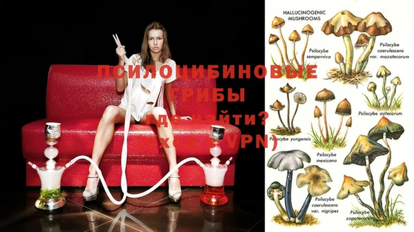 МДМА Ельня