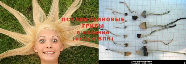 дистиллят марихуана Елабуга