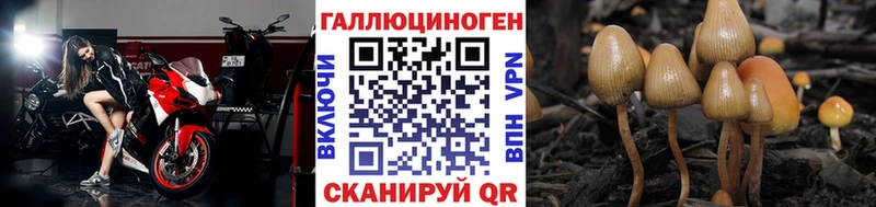 Галлюциногенные грибы мицелий  blacksprut ONION  Камышлов 
